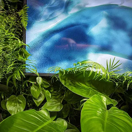 Costa Rica Hotel